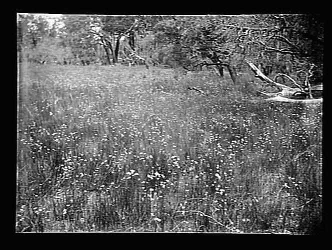 Negative - Glass