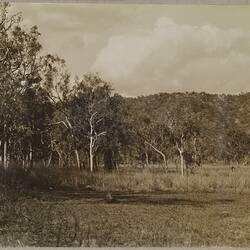 Photograph, Daly River, Fitzmaurice, Northern Territory, Australia, 1912