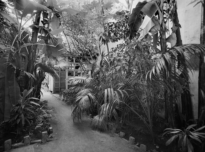 Kodak Australasia Pty Ltd, Back Garden, Kodak Branch, Townsville, QLD, 1930s
