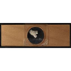 Underside of wooden microslide containing bryozoan specimen,