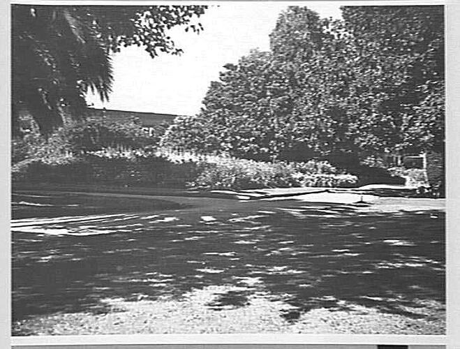 PHOTOS TAKEN IN SUNSHINE GARDENS: APRIL 1942