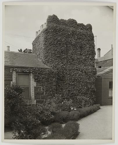 House with tower covered with ivy.