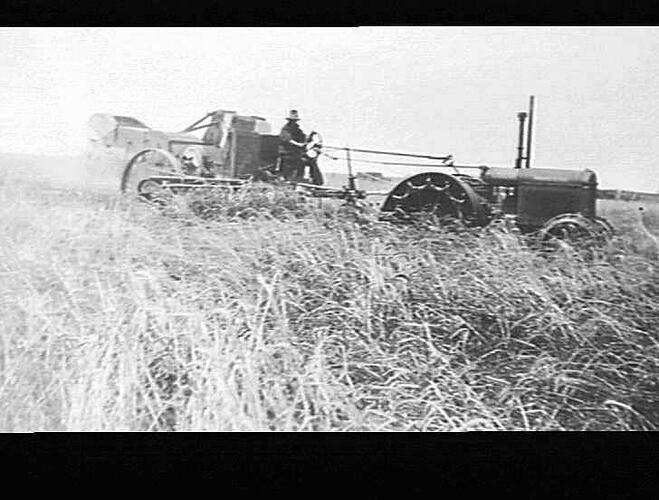 8 FT HEADER IN THIRD PRIZE P & A ASSOCIATION COMPETITION CROP YIELDING 14 BAGS PER ACRE ON MR C.K.WALTER'S FARM WARRAL TAMWORTH N.S.W. CROP OVER 4FT HIGH WHEN STANDING 21 TEETH TAKEN OUT
