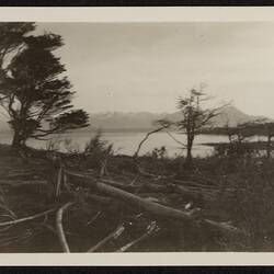 Panorama, Yaghan, Rio Douglas, Navarino Island, Magallanes, Chilean Antarctic, Chile, /06/1929