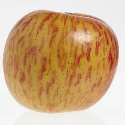 Wax model of an apple with stem, painted red and yellow.