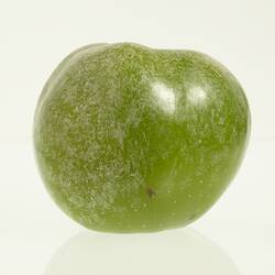 Wax model of an apple painted green.