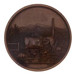 Medal - Mackay Agricultural Pastoral & Mining Association Prize, c. 1880