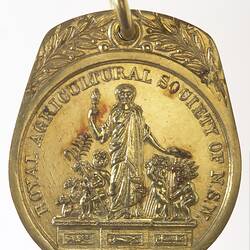 Medal - Royal Agricultural Society of New South Wales, Gold, Australia, 1904