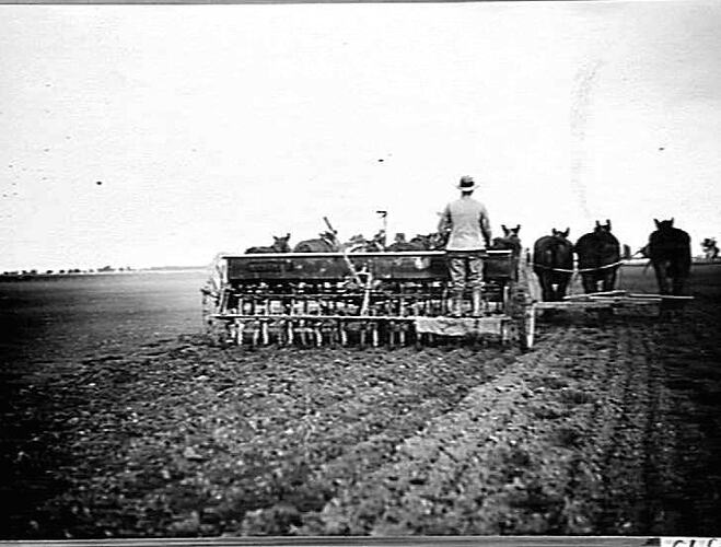 MILLARD & CHAPMAN, HORSHAM, VIC: JUNE 1921