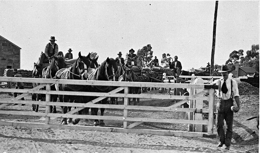 [Horse-drawn vehicles loaded with wheat bags, Kyabram Station, circa 1915.]