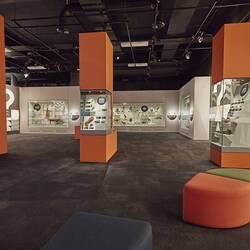 View of a gallery with orange fitout and brightly lit display cases full of specimens.