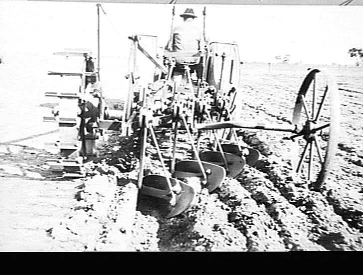 Photograph H.V. McKay Massey Harris, Farm Equipment Manufacture & Field Trials, Stawell