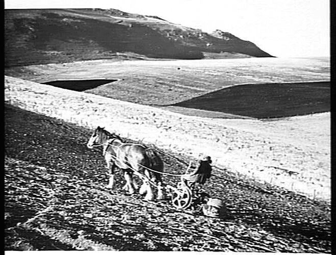 Photograph H.V. McKay Massey Harris, Farm Equipment Manufacture