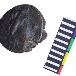 Coin - Tarentum, Italy, circa 250 BC