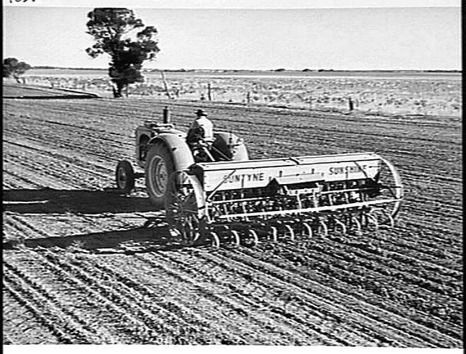20-ROW `SUNTYNE' WITH LARGE CAPACITY BOX AND SCREW-LIFT FOR TINES, CULTIVATING, SOWING AND FERTILIZING ON THE FARM OF MR. G. B. MCKENZIE, ELLAM, VIC: APRIL 1949