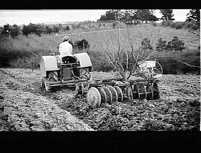 'Suntrac' disc cultivator & Model 81 Tractor at Work: June 1942