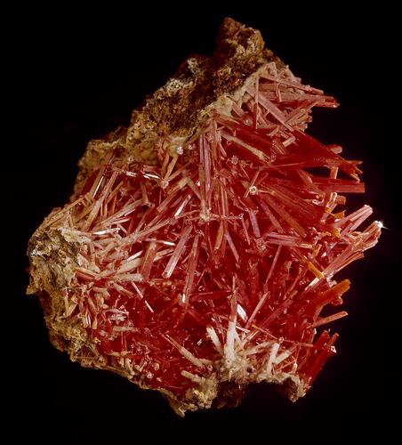 Red needle-like crystalline specimen.