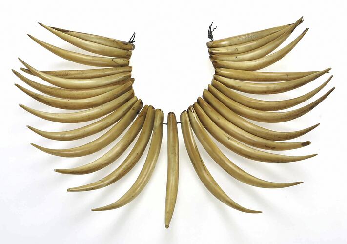 Whale tooth neck ornament, Fiji