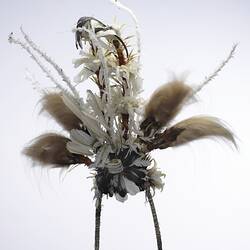 Bird of Paradise Headdress, back view