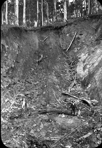 Lantern Slide - Landslip, Dandenongs, Victoria, Jul 1891. [BA 1657]