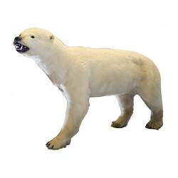 Mounted polar bear specimen.