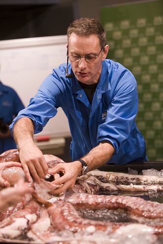 Man showing a part of a squid.