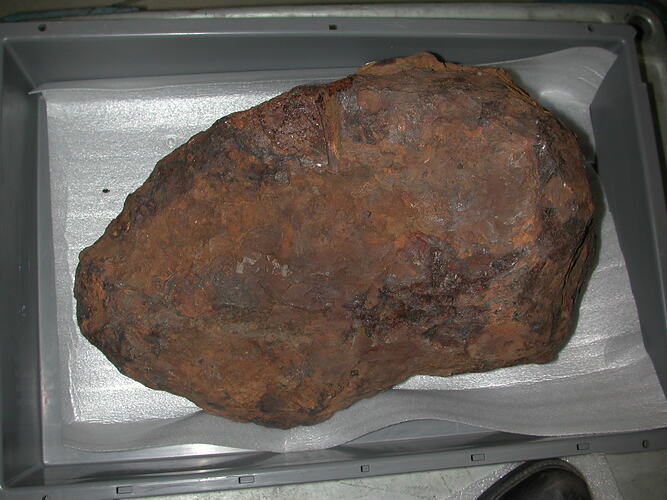 Meteorite specimen in tray.