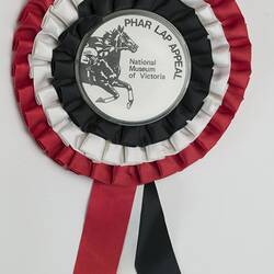 Red, white, black rosette, race horse pictured centre.