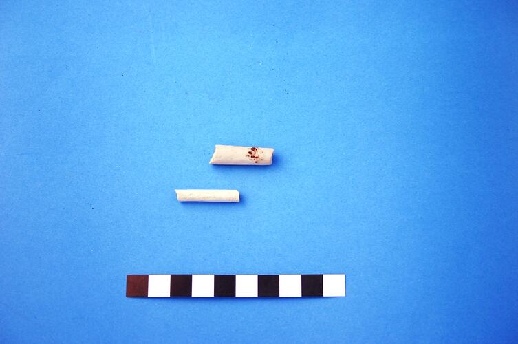 Clay Pipe - Ceramic