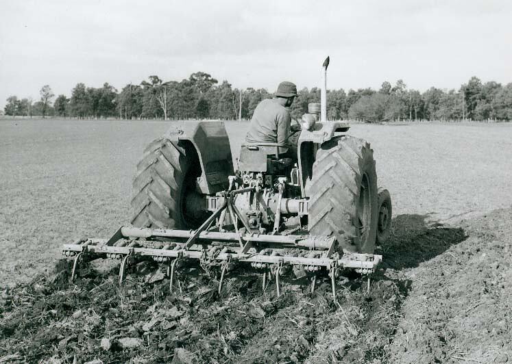 Photograph Massey Ferguson, MF538 Tiller, circa 1956