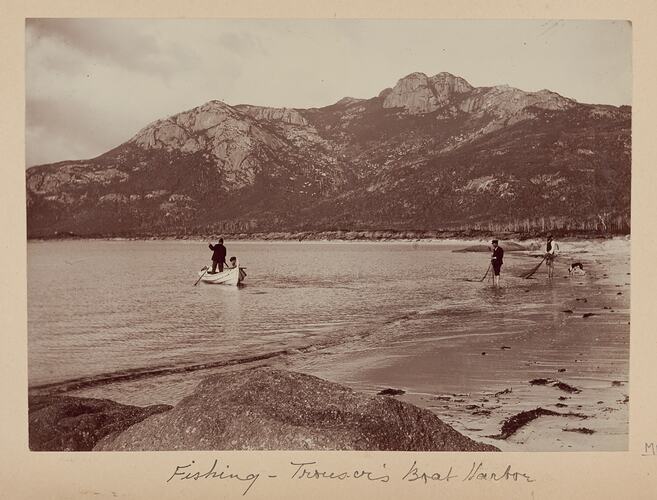 Photograph Album - Field Naturalists' Club of Victoria, Scientific Expedition to Kent Group Islands, Bass Strait, A J Campbell, 1890