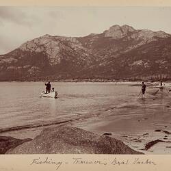 Photograph Album - Field Naturalists' Club of Victoria, Scientific Expedition to Kent Group Islands, Bass Strait, A J Campbell, 1890