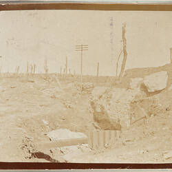 Landscape with dead trees and rubble.