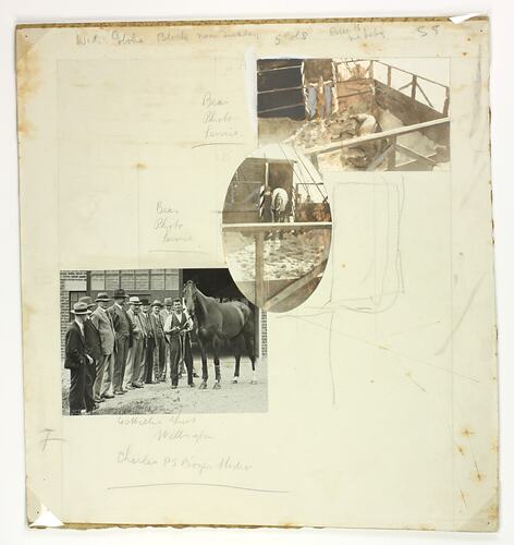 Printers proof, three photographs of men and horse