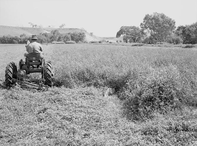 Farmall A & No.16 Mower