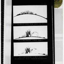 Glass Negative - 'Solar Prominences, Calcium (H) Spectroheliograms', circa 1910