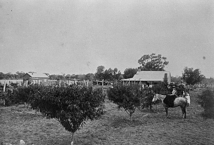 Young woman on horseback, sidesaddle, in front of a farmhouse with fruit trees. Male and young girl near by.