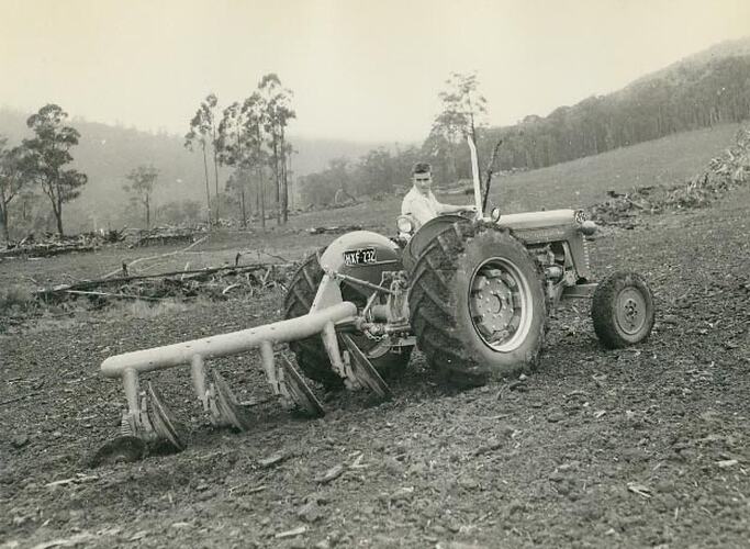 Rear view of a man driving a tractor with a disc plough attached in a cleared forest.