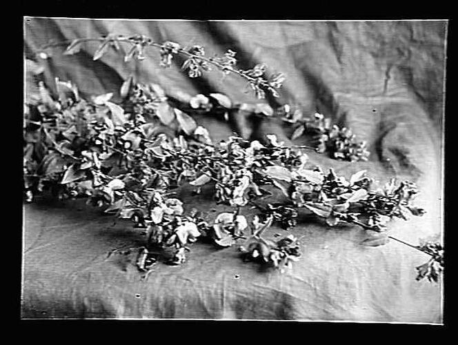 Negative - Glass