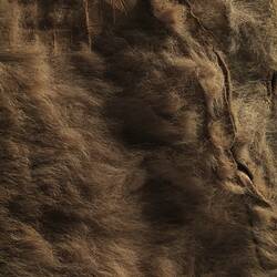 Bag, Australia, Eyre