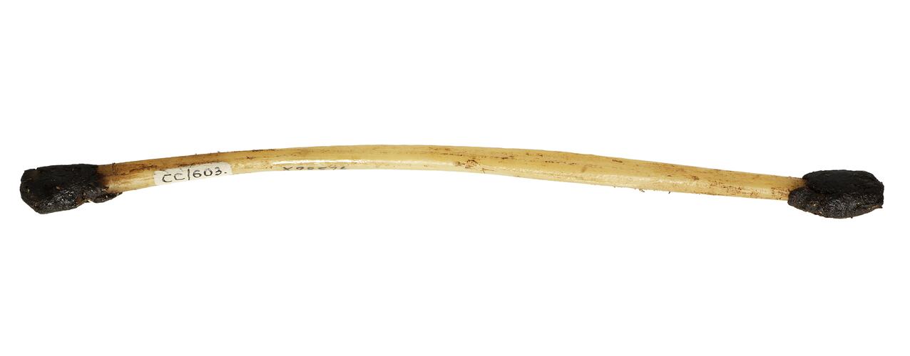 Ornament, nose, Australia, Desert Central