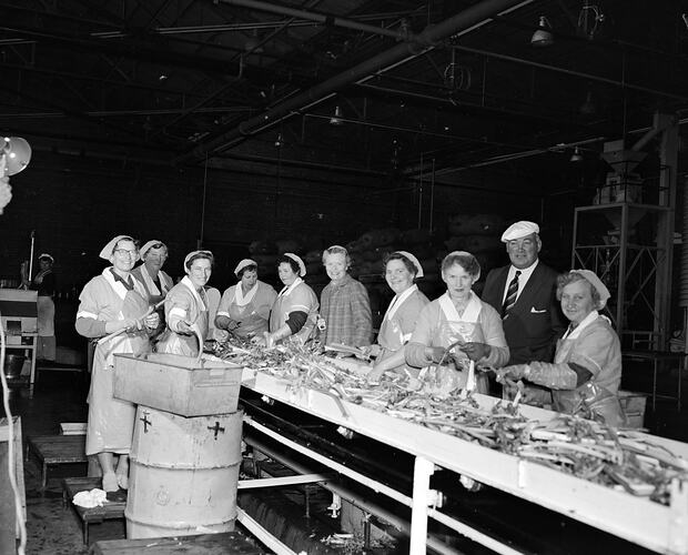 H. J. Heinz Co Pty Ltd, Women on Production Line in Factory, Dandenong, Victoria, Jul 1958