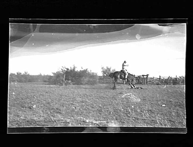 Negative - Horse Breaker, Mardie Station