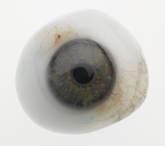 Prosthetic eye with grey iris.