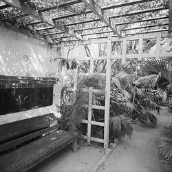 Negative - Kodak Australasia Pty Ltd, Back Garden Seat, Kodak Branch, Townsville, QLD, 1930s