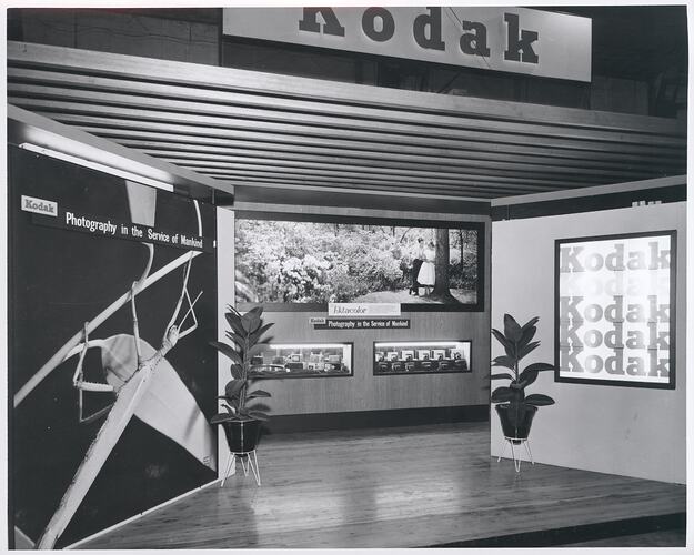 Exhibition with angled walls and pot plants.