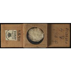 Bryozoan specimen in wooden microslide with handwritten labels.
