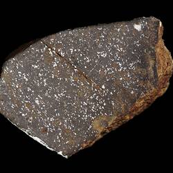 Correo Meteorite. [E 12181]