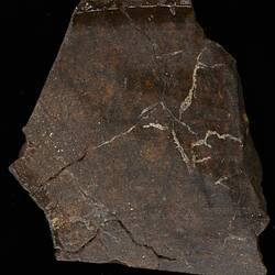 Coonana Meteorite. [E 3113]