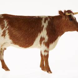 Model of brown and white cow. Right profile.